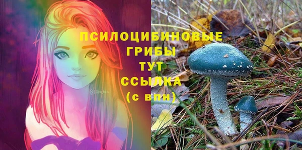 винт Балабаново