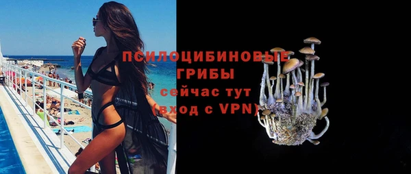 прущие грибы Баксан