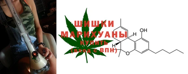 PSILOCYBIN Балахна