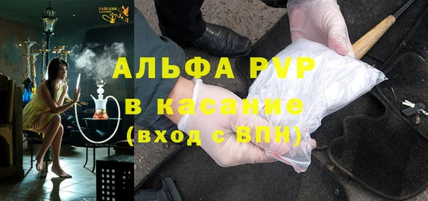 прущие грибы Баксан