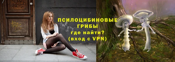 PSILOCYBIN Балахна