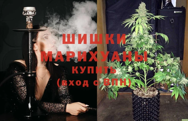 прущие грибы Баксан