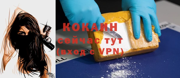 прущие грибы Баксан