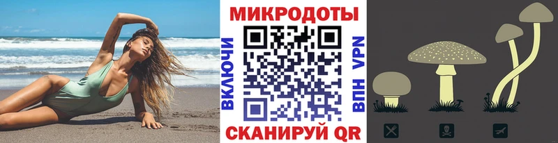Купить где  Людиново  Псилоцибиновые грибы MAGIC MUSHROOMS 